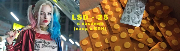 хмурый Алзамай