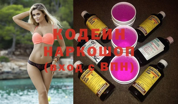 хмурый Алзамай