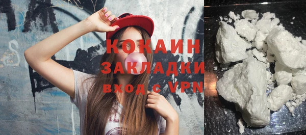 соль ск Алексин