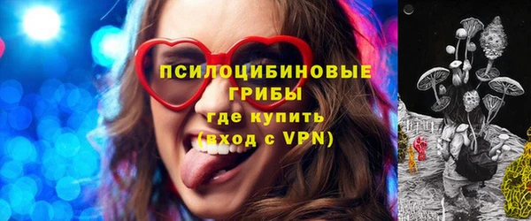соль ск Алексин