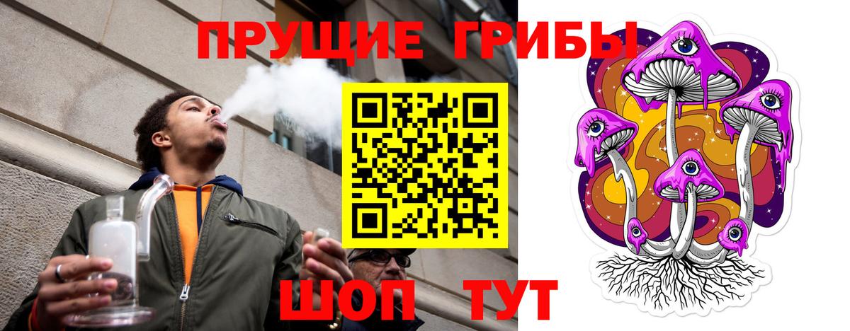 Псилоцибиновые грибы MAGIC MUSHROOMS Санкт-Петербург