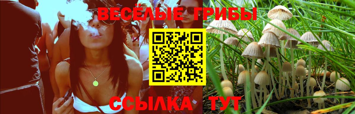Псилоцибиновые грибы ЛСД  Вход с VPN  Галлюциногенные грибы Magic Shrooms  Санкт-Петербург 
