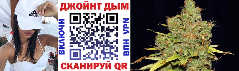 Каннабис план Санкт-Петербург